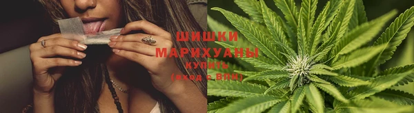 mix Белокуриха